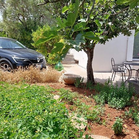 All'Ombra Dell'Ulivo مونوبولي المظهر الخارجي الصورة